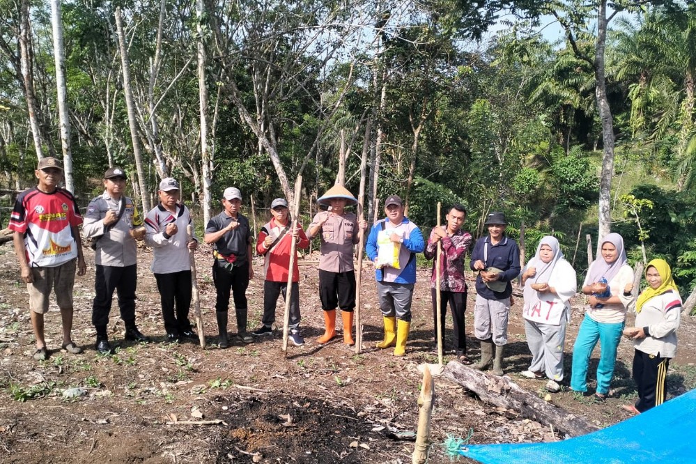 Bersama Desa Batu Kuning, Polsek Pino Laksanakan Tanam Jagung Bersama